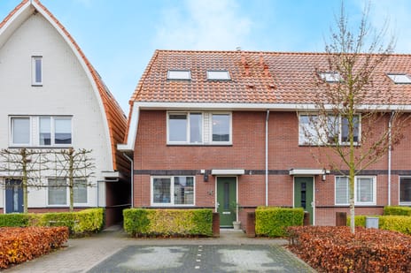 undefined main image