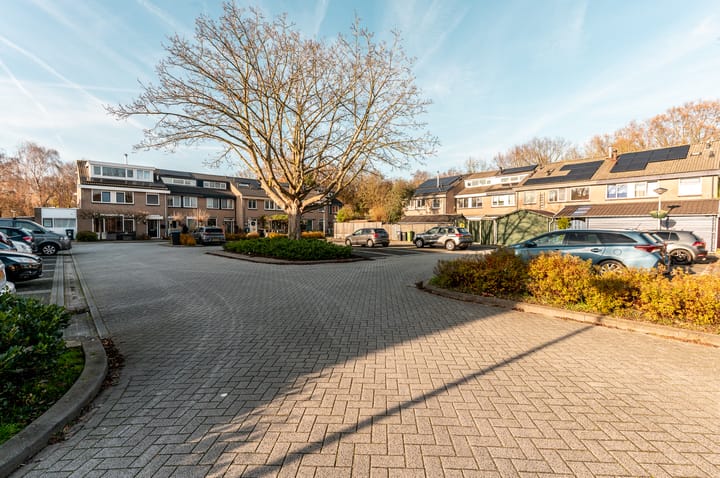 Foto 38 van Karveel 49 62