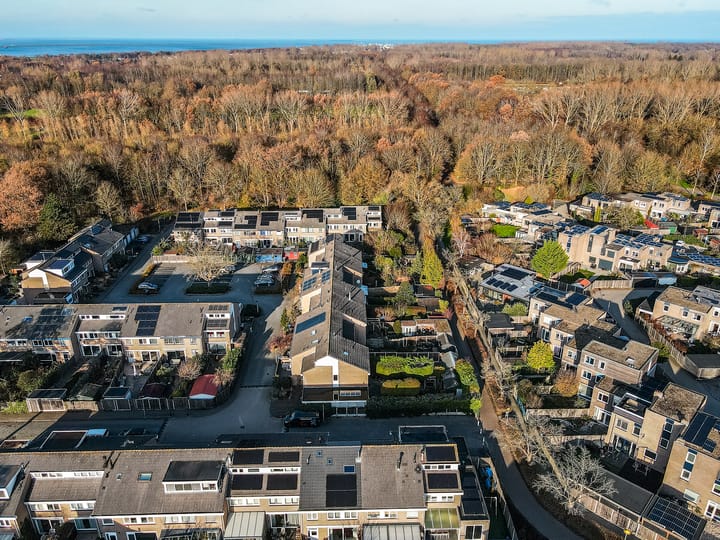 Foto 40 van Karveel 49 62