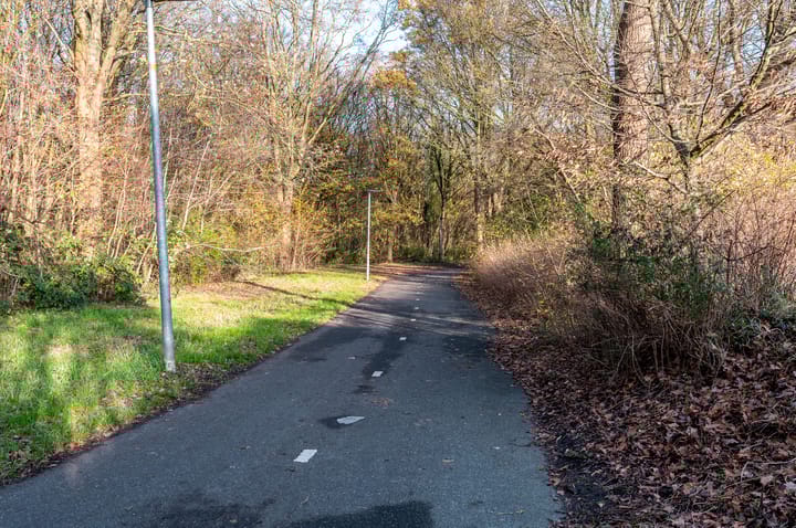 Foto 39 van Karveel 49 62