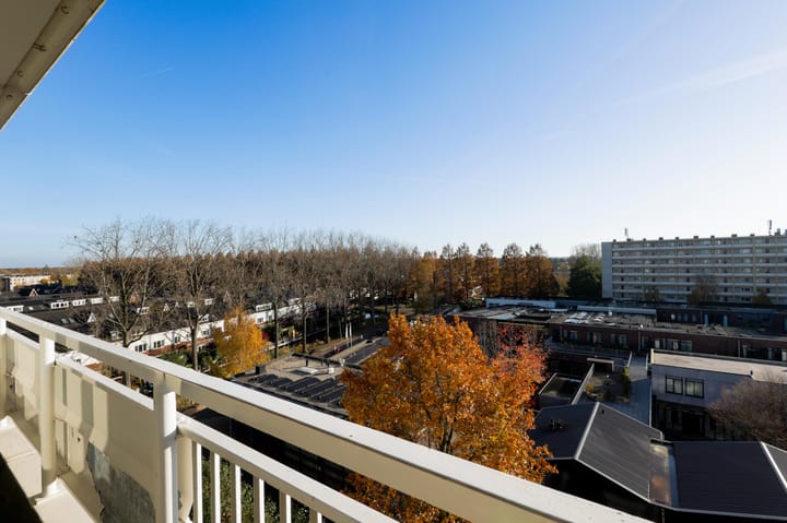 Photo 6 of Heemraadweg 703