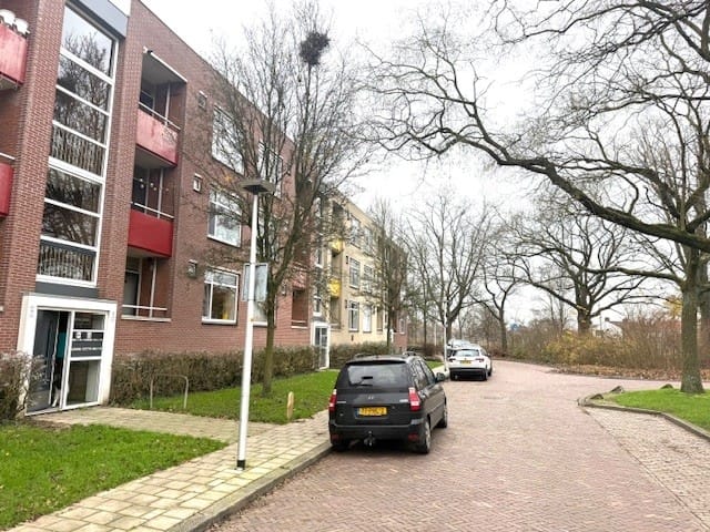Foto 20 van Arubastraat 38