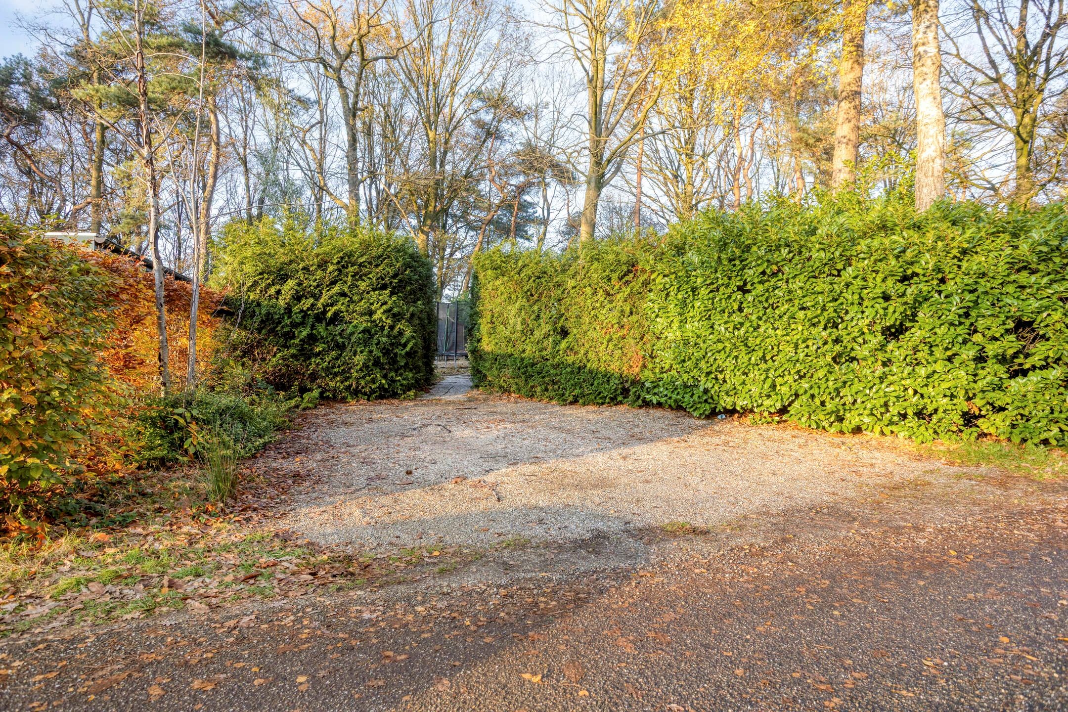 Photo 12 of Kievit 12-B16