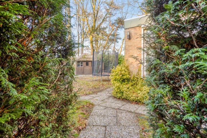 Photo 2 of Kievit 12-B16