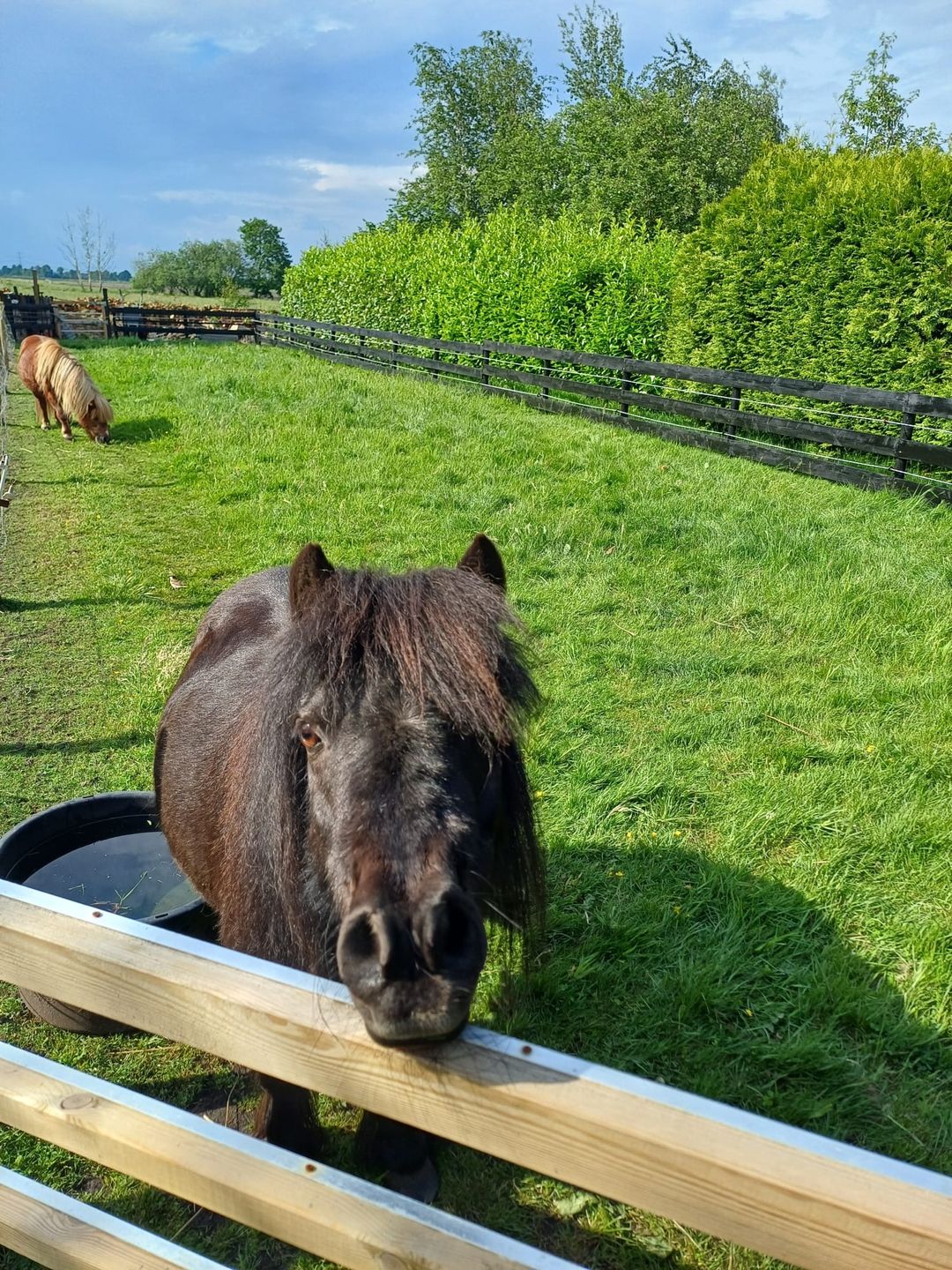 Foto 76 van Parallelweg 78