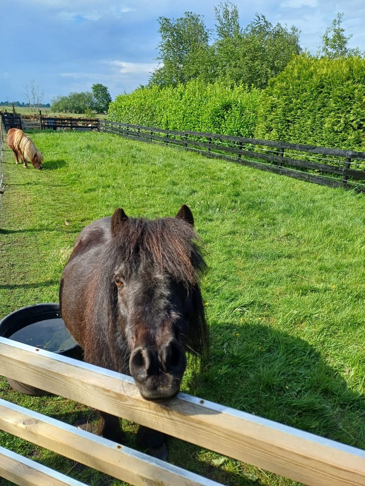 Foto 76 van Parallelweg 78