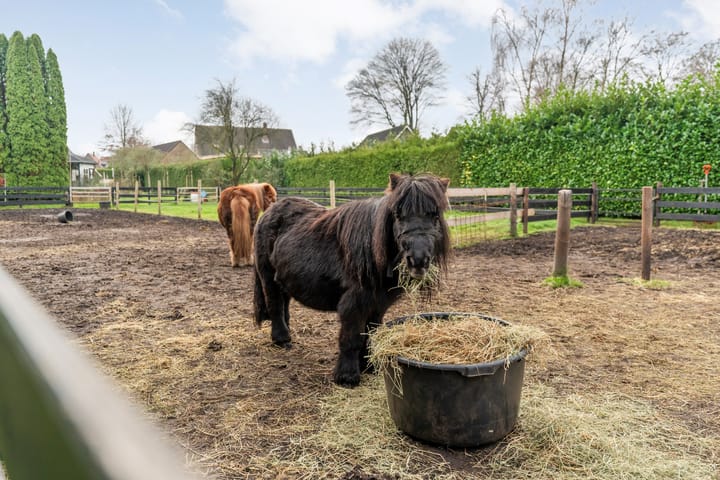 Foto 61 van Parallelweg 78