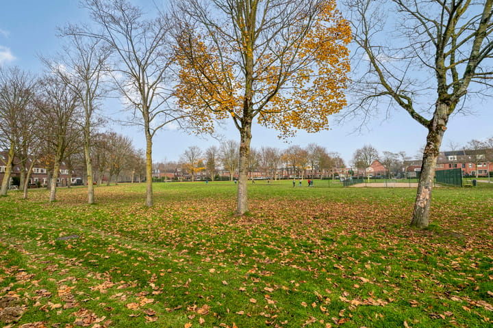 Photo 30 of Bosgouw 244