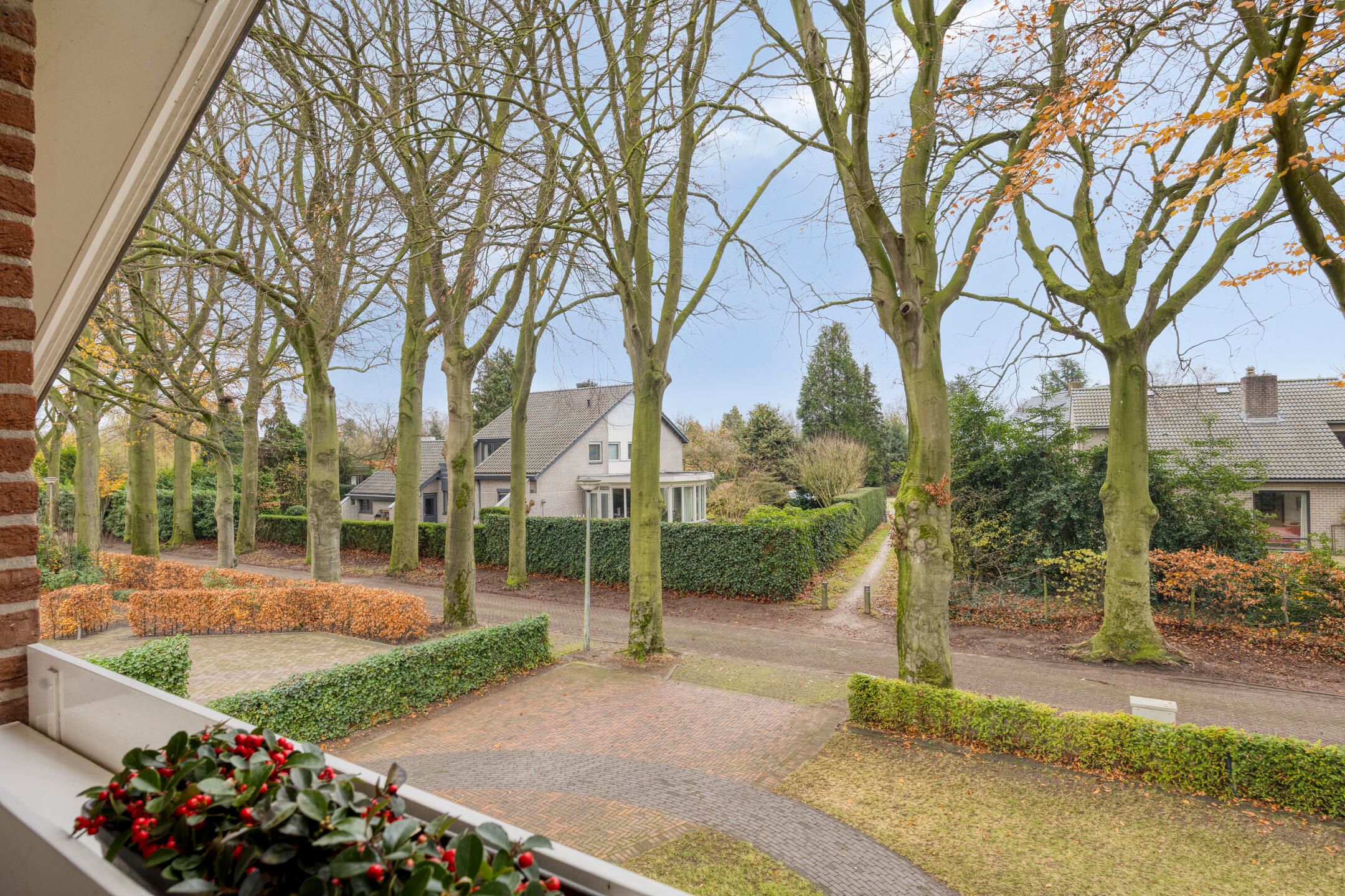 Foto 30 van Heilige Stoel 6705