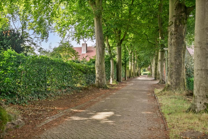 Photo 70 of Heilige Stoel 6705