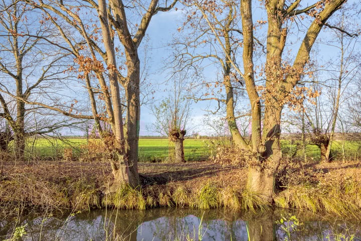 Foto 37 van Keizershof 53