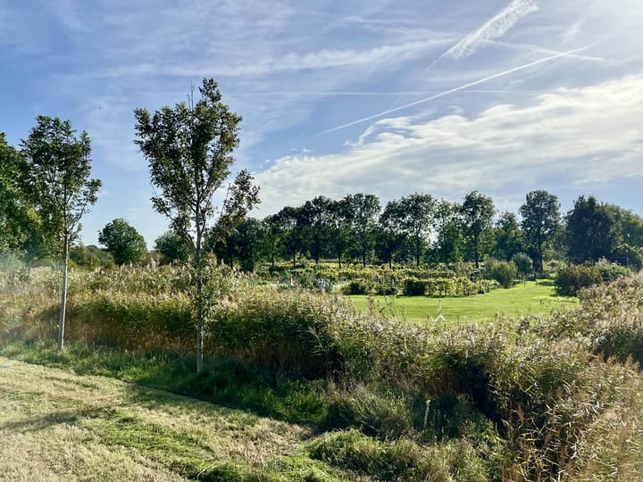 Foto 38 van Freudstraat 4