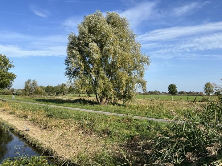 Foto 39 van Freudstraat 4