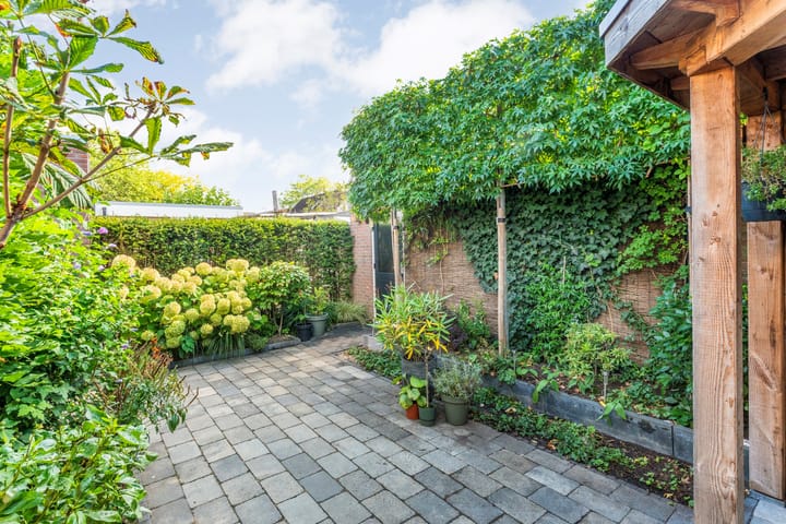 Foto 40 van Veldkers 2