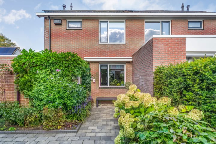 Foto 41 van Veldkers 2