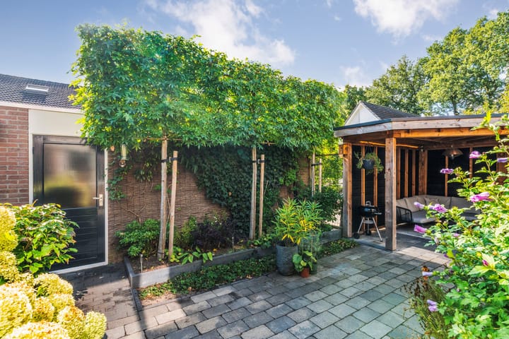 Foto 43 van Veldkers 2