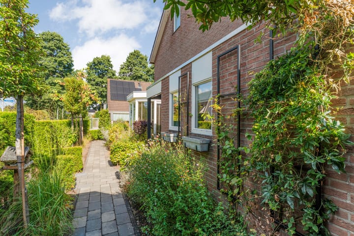 Foto 47 van Veldkers 2