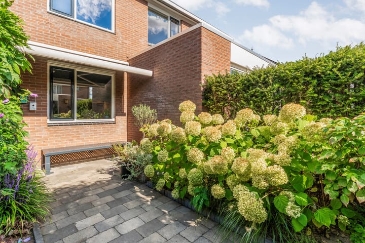 Foto 48 van Veldkers 2