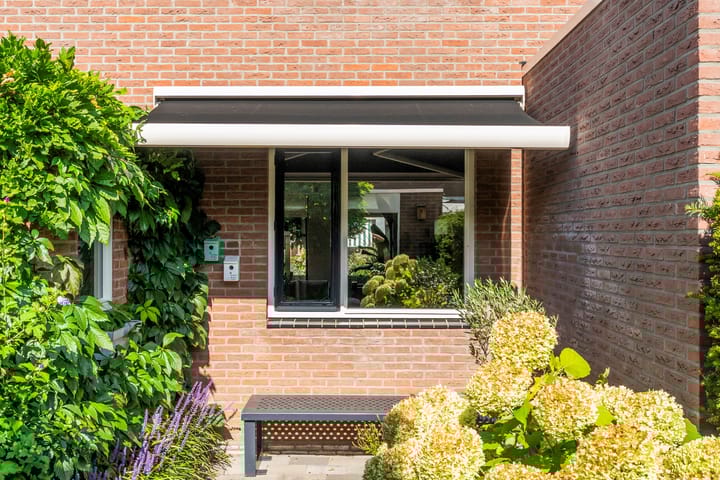 Foto 49 van Veldkers 2