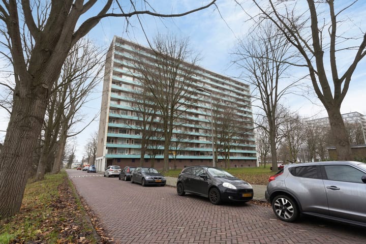 Foto 3 van Langswater 874