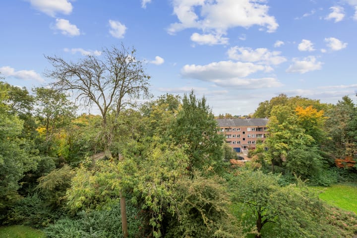 Photo 14 of Van Nijenrodeweg 778