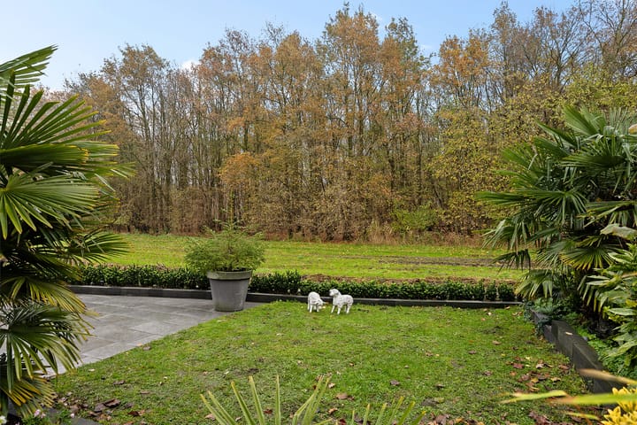 Foto 37 van Albert Einsteinstraat 52