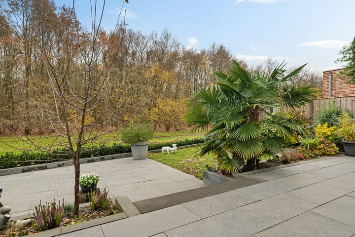 Foto 38 van Albert Einsteinstraat 52