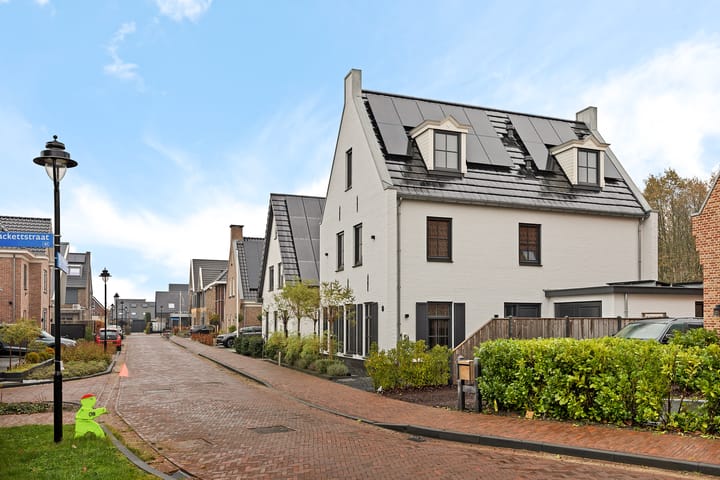 Foto 44 van Albert Einsteinstraat 52