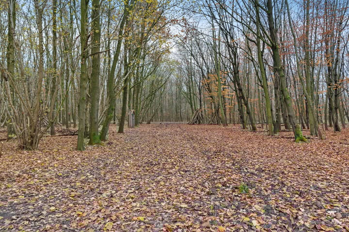 Foto 45 van Albert Einsteinstraat 52