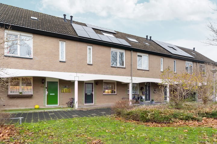 Zwinpad 12 main image