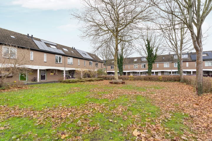 Foto 7 van Zwinpad 12