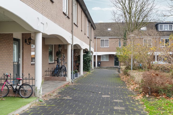 Foto 8 van Zwinpad 12