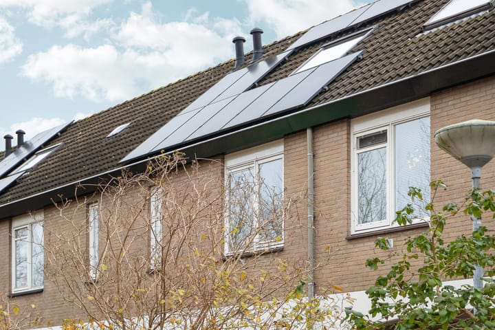 Foto 55 van Zwinpad 12