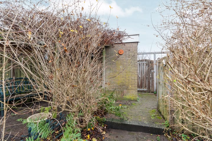 Foto 61 van Zwinpad 12