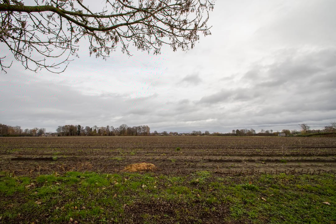 Foto 8 van De Spar 28