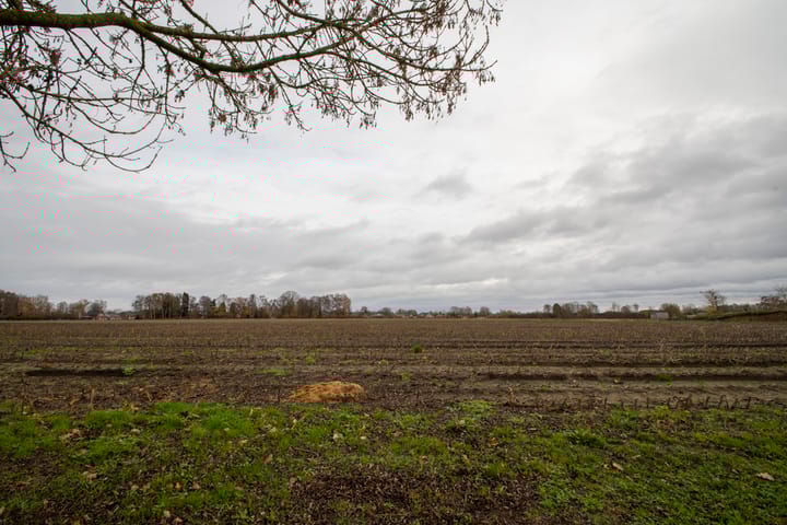 Photo 8 of De Spar 28