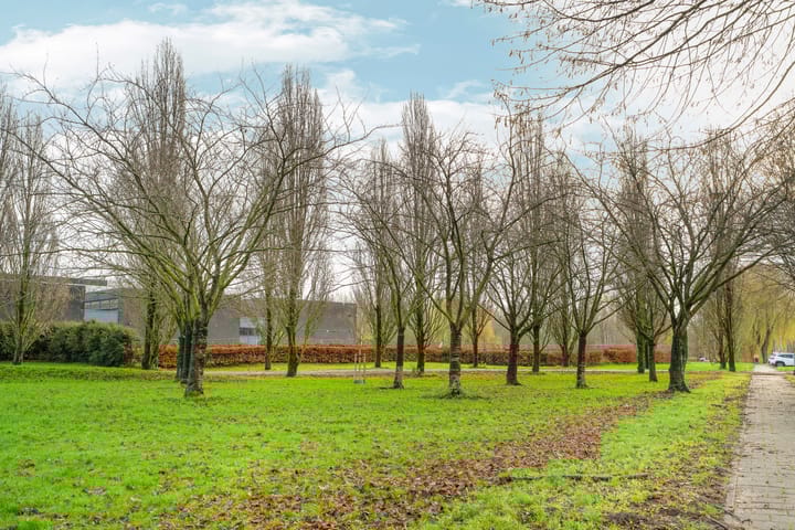 Photo 57 of Simon van Collemstraat 56