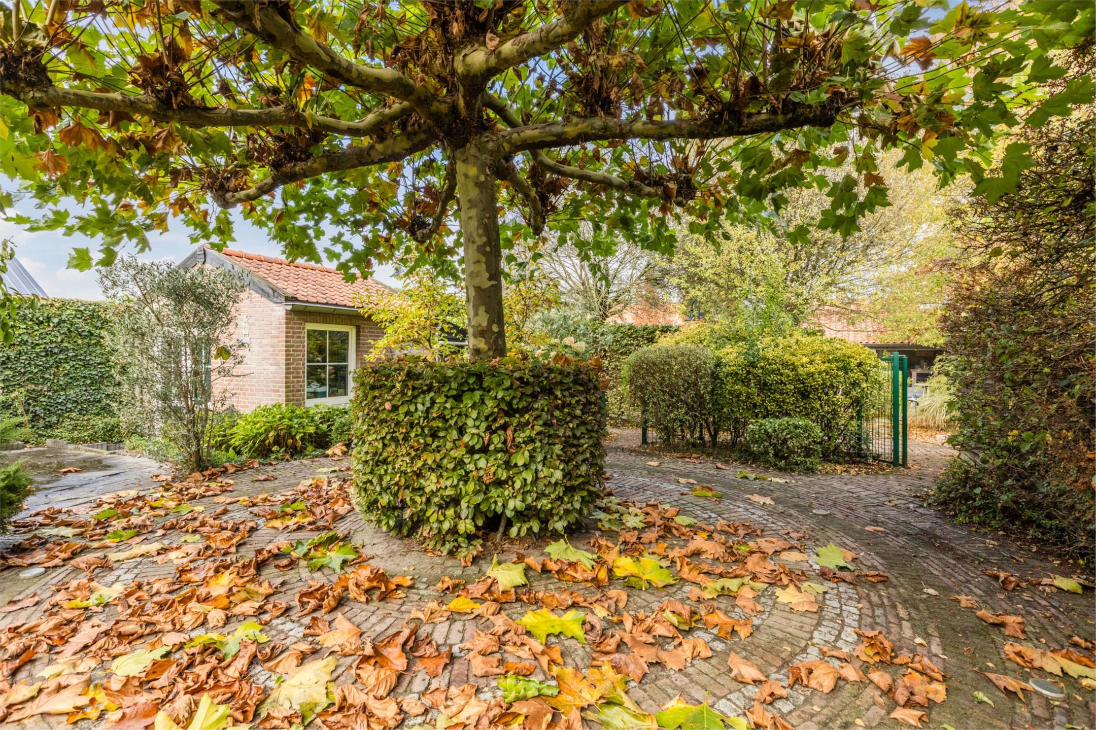 Foto 48 van Bergsebaan 10