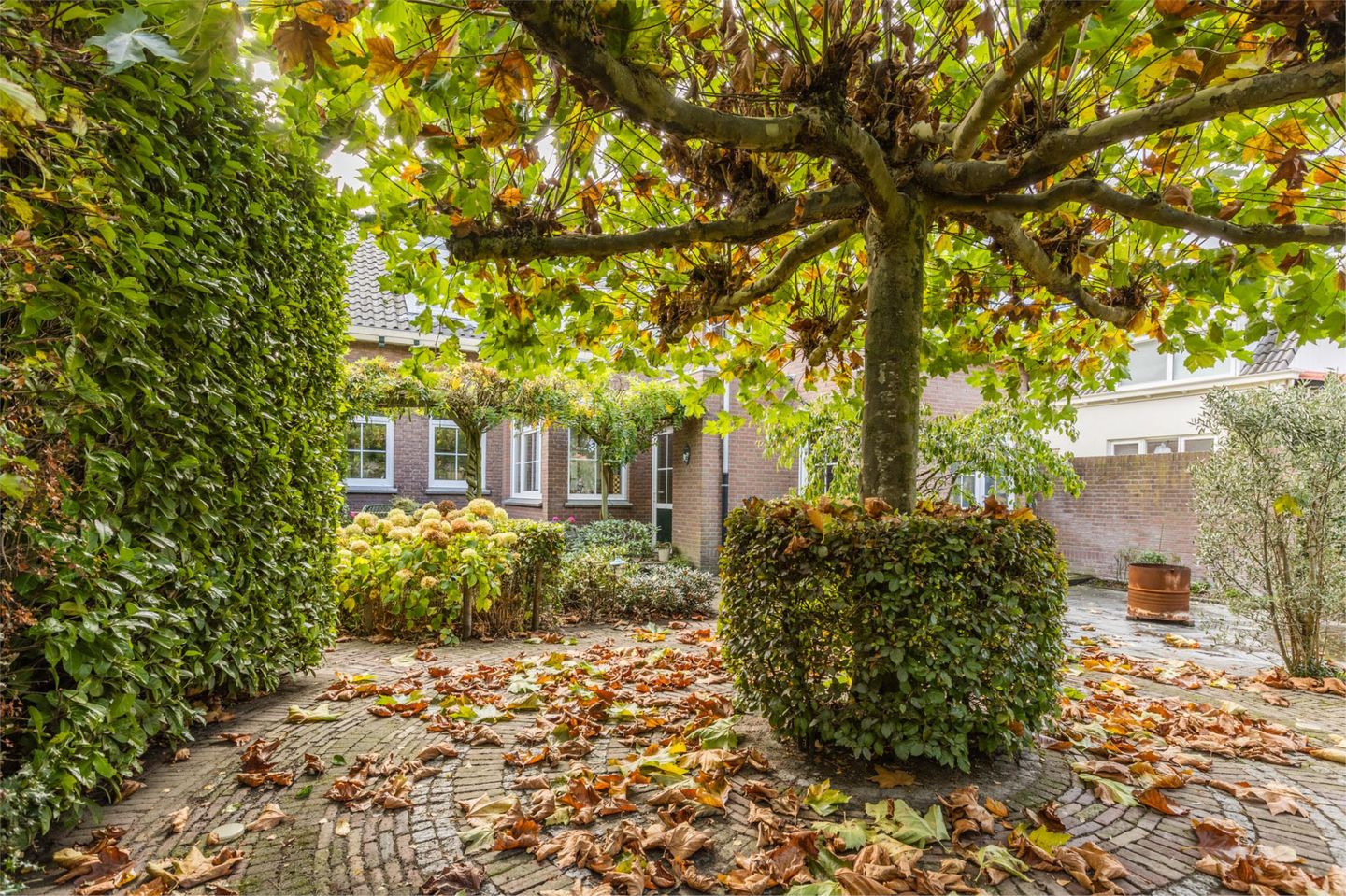 Foto 49 van Bergsebaan 10