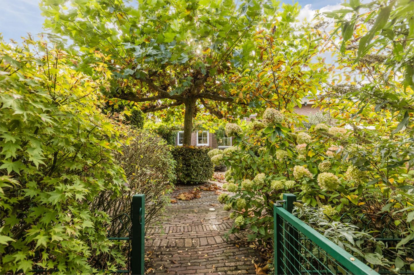 Foto 50 van Bergsebaan 10