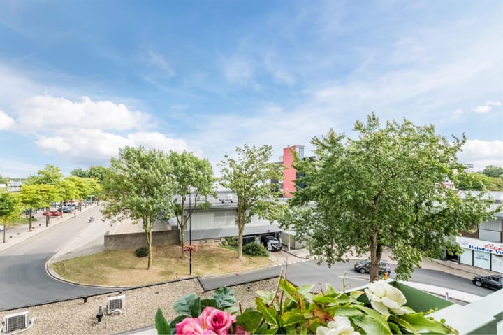 Photo 13 of Zwanenveld 8323