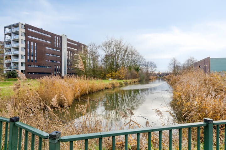 Foto 20 van Elvis Presleylaan 21