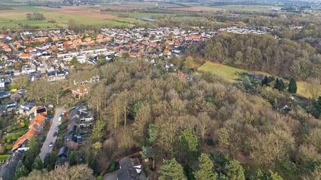 Oude Bosweg tertiary image