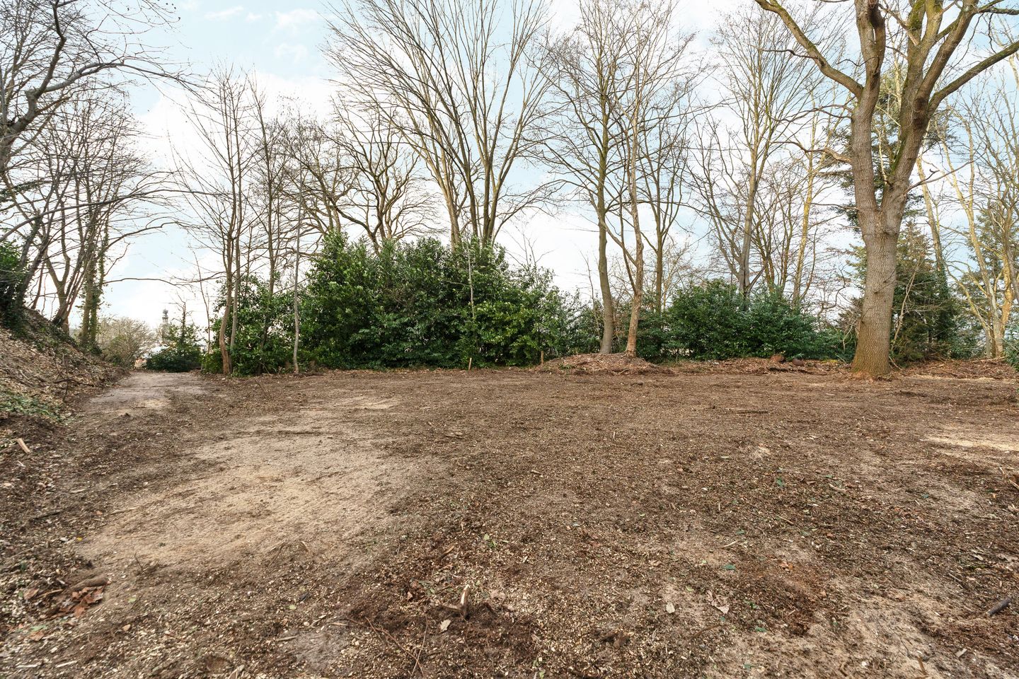 Foto 5 van Oude Bosweg