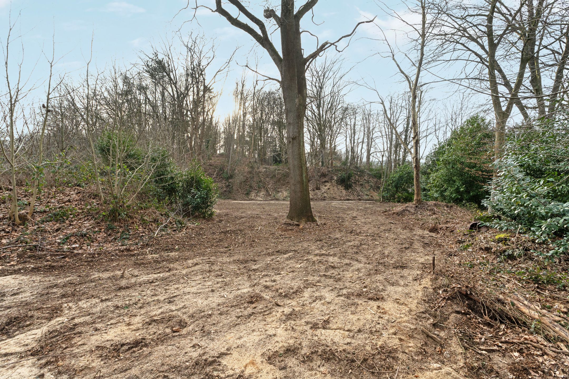 Foto 12 van Oude Bosweg