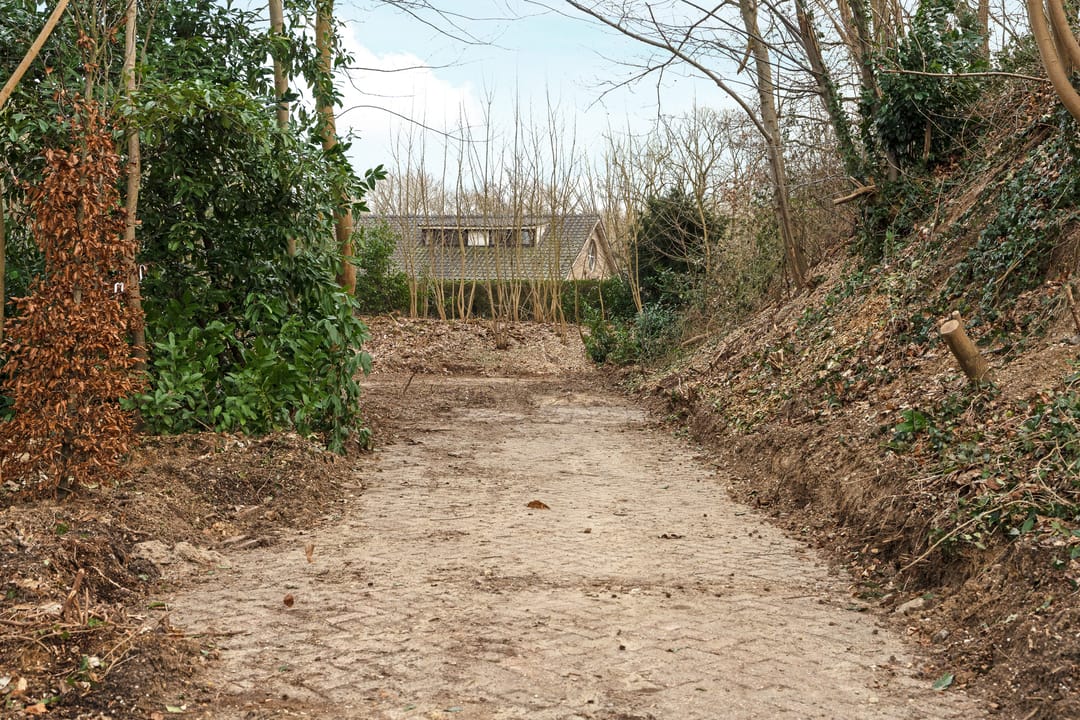 Foto 16 van Oude Bosweg