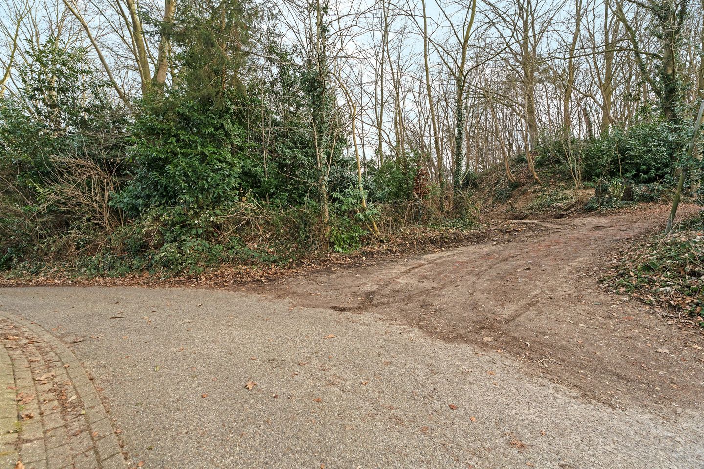 Foto 20 van Oude Bosweg