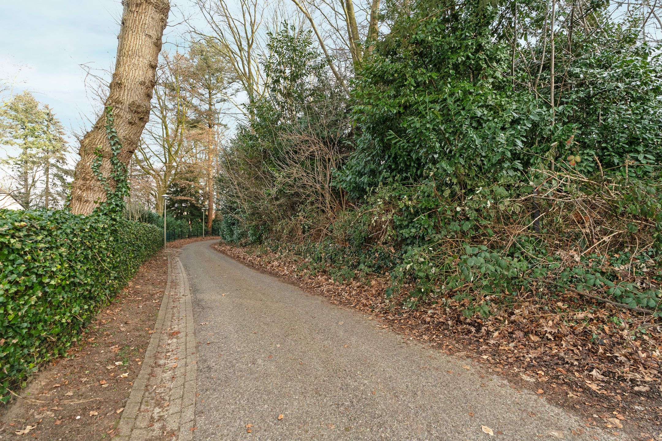 Foto 21 van Oude Bosweg