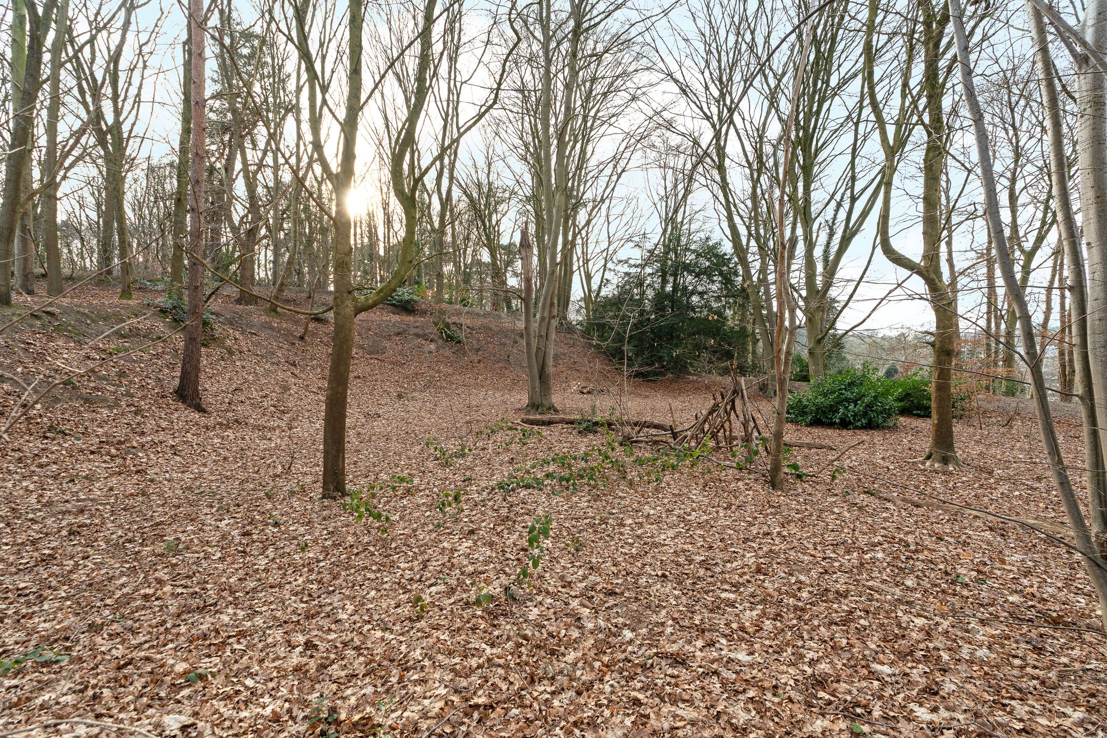 Foto 24 van Oude Bosweg