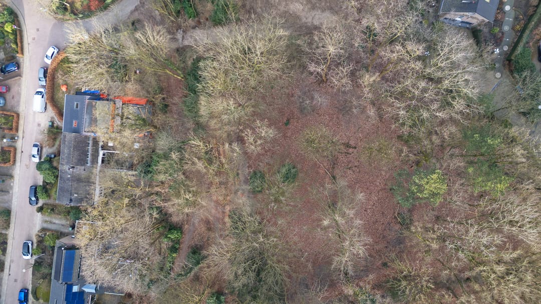 Foto 38 van Oude Bosweg